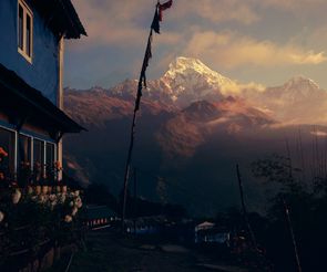 Nepal - Tadapani / Facing Annapurna South 7219m
